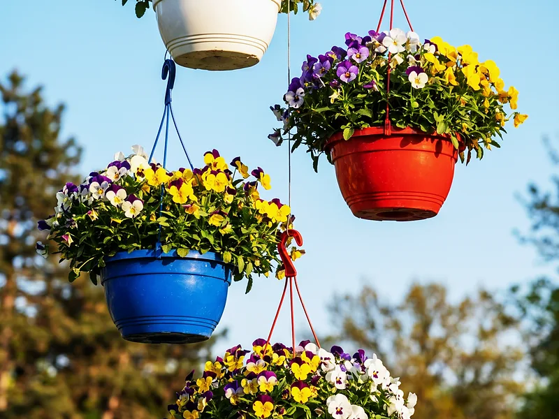 Macetas colgantes con flores
